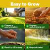 imageHOME GROWN   Autumn Beauty Sunflower Seeds to Plant 40 Heirloom NonGMO Sunflower Seeds for Planting Blooms for Pollinator Support and Ornamental Flower Garden Helianthus annuus8 Varieties Sunflower