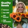 imageHOME GROWN   Autumn Beauty Sunflower Seeds to Plant 40 Heirloom NonGMO Sunflower Seeds for Planting Blooms for Pollinator Support and Ornamental Flower Garden Helianthus annuusAutumn Beauty Sunflower