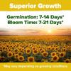 imageHOME GROWN   Autumn Beauty Sunflower Seeds to Plant 40 Heirloom NonGMO Sunflower Seeds for Planting Blooms for Pollinator Support and Ornamental Flower Garden Helianthus annuus8 Varieties Sunflower