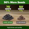 imageHOME GROWN   Autumn Beauty Sunflower Seeds to Plant 40 Heirloom NonGMO Sunflower Seeds for Planting Blooms for Pollinator Support and Ornamental Flower Garden Helianthus annuusChocolate Cherry Sunflower
