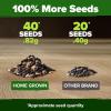 imageHOME GROWN   Autumn Beauty Sunflower Seeds to Plant 40 Heirloom NonGMO Sunflower Seeds for Planting Blooms for Pollinator Support and Ornamental Flower Garden Helianthus annuusAutumn Beauty Sunflower