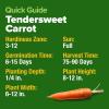 imageHOME GROWN   Tendersweet Carrots Pack Daucus carota subsp sativus  3000  Heirloom Seeds for Planting Outdoors  HighGermination Vegetable for a Lush Garden