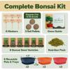 imageHOME GROWN  Bonsai Tree Kit  6 Heirloom Varieties with Unique Pots  DIY Bonsai Starter Kit for Adults ampamp Beginners  Christmas Gift for Men Women Gardeners Plant Lovers  Indoor Growing KitMaster Kit