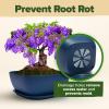 imageHOME GROWN  Bonsai Tree Kit  6 Heirloom Varieties with Unique Pots  DIY Bonsai Starter Kit for Adults ampamp Beginners  Christmas Gift for Men Women Gardeners Plant Lovers  Indoor Growing KitMaster Kit