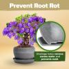 imageHOME GROWN  Bonsai Tree Kit  6 Heirloom Varieties with Unique Pots  DIY Bonsai Starter Kit for Adults ampamp Beginners  Christmas Gift for Men Women Gardeners Plant Lovers  Indoor Growing KitDeluxe Kit