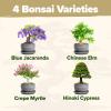 imageHOME GROWN  Bonsai Tree Kit  6 Heirloom Varieties with Unique Pots  DIY Bonsai Starter Kit for Adults ampamp Beginners  Christmas Gift for Men Women Gardeners Plant Lovers  Indoor Growing KitDeluxe Kit