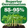imageHOME GROWN 10 Herb Seeds for Planting 3000 NonGMO Heirloom Seeds  Extra Large Variety Pack Herb Kit  Indoor Outdoor ampamp Hydroponic  Culinary Seed Set  Grow Your Own Herbs  Gift for Beginners55Pack
