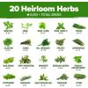 imageHOME GROWN 10 Herb Seeds for Planting 3000 NonGMO Heirloom Seeds  Extra Large Variety Pack Herb Kit  Indoor Outdoor ampamp Hydroponic  Culinary Seed Set  Grow Your Own Herbs  Gift for Beginners20Pack