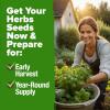 imageHOME GROWN 10 Herb Seeds for Planting 3000 NonGMO Heirloom Seeds  Extra Large Variety Pack Herb Kit  Indoor Outdoor ampamp Hydroponic  Culinary Seed Set  Grow Your Own Herbs  Gift for Beginners5Pack