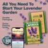 imageHOME GROWN 10 Herb Seeds for Planting 3000 NonGMO Heirloom Seeds  Extra Large Variety Pack Herb Kit  Indoor Outdoor ampamp Hydroponic  Culinary Seed Set  Grow Your Own Herbs  Gift for Beginners1Pack