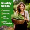 imageHOME GROWN 10 Herb Seeds for Planting 3000 NonGMO Heirloom Seeds  Extra Large Variety Pack Herb Kit  Indoor Outdoor ampamp Hydroponic  Culinary Seed Set  Grow Your Own Herbs  Gift for Beginners15Pack
