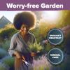 imageHOME GROWN 10 Herb Seeds for Planting 3000 NonGMO Heirloom Seeds  Extra Large Variety Pack Herb Kit  Indoor Outdoor ampamp Hydroponic  Culinary Seed Set  Grow Your Own Herbs  Gift for Beginners1Pack