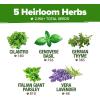imageHOME GROWN 10 Herb Seeds for Planting 3000 NonGMO Heirloom Seeds  Extra Large Variety Pack Herb Kit  Indoor Outdoor ampamp Hydroponic  Culinary Seed Set  Grow Your Own Herbs  Gift for Beginners5Pack