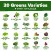 imageHOME GROWN 10 Herb Seeds for Planting 3000 NonGMO Heirloom Seeds  Extra Large Variety Pack Herb Kit  Indoor Outdoor ampamp Hydroponic  Culinary Seed Set  Grow Your Own Herbs  Gift for Beginners20Pack Greens