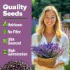 imageHOME GROWN 10 Herb Seeds for Planting 3000 NonGMO Heirloom Seeds  Extra Large Variety Pack Herb Kit  Indoor Outdoor ampamp Hydroponic  Culinary Seed Set  Grow Your Own Herbs  Gift for Beginners1Pack