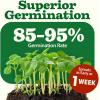 imageHOME GROWN 10 Herb Seeds for Planting 3000 NonGMO Heirloom Seeds  Extra Large Variety Pack Herb Kit  Indoor Outdoor ampamp Hydroponic  Culinary Seed Set  Grow Your Own Herbs  Gift for Beginners70Pack