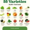 imageHOME GROWN 10 Herb Seeds for Planting 3000 NonGMO Heirloom Seeds  Extra Large Variety Pack Herb Kit  Indoor Outdoor ampamp Hydroponic  Culinary Seed Set  Grow Your Own Herbs  Gift for Beginners55Pack