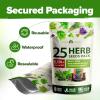 imageHOME GROWN 10 Herb Seeds for Planting 3000 NonGMO Heirloom Seeds  Extra Large Variety Pack Herb Kit  Indoor Outdoor ampamp Hydroponic  Culinary Seed Set  Grow Your Own Herbs  Gift for Beginners25Pack