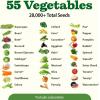 imageHOME GROWN 10 Herb Seeds for Planting 3000 NonGMO Heirloom Seeds  Extra Large Variety Pack Herb Kit  Indoor Outdoor ampamp Hydroponic  Culinary Seed Set  Grow Your Own Herbs  Gift for Beginners70Pack