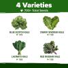 imageHOME GROWN 10 Herb Seeds for Planting 3000 NonGMO Heirloom Seeds  Extra Large Variety Pack Herb Kit  Indoor Outdoor ampamp Hydroponic  Culinary Seed Set  Grow Your Own Herbs  Gift for Beginners4Pack