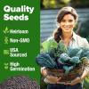 imageHOME GROWN 10 Herb Seeds for Planting 3000 NonGMO Heirloom Seeds  Extra Large Variety Pack Herb Kit  Indoor Outdoor ampamp Hydroponic  Culinary Seed Set  Grow Your Own Herbs  Gift for Beginners4Pack