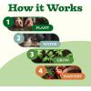 imageHOME GROWN 10 Herb Seeds for Planting 3000 NonGMO Heirloom Seeds  Extra Large Variety Pack Herb Kit  Indoor Outdoor ampamp Hydroponic  Culinary Seed Set  Grow Your Own Herbs  Gift for Beginners55Pack