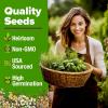 imageHOME GROWN 10 Herb Seeds for Planting 3000 NonGMO Heirloom Seeds  Extra Large Variety Pack Herb Kit  Indoor Outdoor ampamp Hydroponic  Culinary Seed Set  Grow Your Own Herbs  Gift for Beginners5Pack