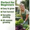 imageHOME GROWN 10 Herb Seeds for Planting 3000 NonGMO Heirloom Seeds  Extra Large Variety Pack Herb Kit  Indoor Outdoor ampamp Hydroponic  Culinary Seed Set  Grow Your Own Herbs  Gift for Beginners10Pack Greens