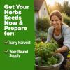 imageHOME GROWN 10 Herb Seeds for Planting 3000 NonGMO Heirloom Seeds  Extra Large Variety Pack Herb Kit  Indoor Outdoor ampamp Hydroponic  Culinary Seed Set  Grow Your Own Herbs  Gift for Beginners20Pack