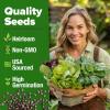 imageHOME GROWN 10 Herb Seeds for Planting 3000 NonGMO Heirloom Seeds  Extra Large Variety Pack Herb Kit  Indoor Outdoor ampamp Hydroponic  Culinary Seed Set  Grow Your Own Herbs  Gift for Beginners20Pack Greens