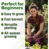 imageHOME GROWN 10 Herb Seeds for Planting 3000 NonGMO Heirloom Seeds  Extra Large Variety Pack Herb Kit  Indoor Outdoor ampamp Hydroponic  Culinary Seed Set  Grow Your Own Herbs  Gift for Beginners8Pack
