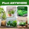 imageHOME GROWN 10 Herb Seeds for Planting 3000 NonGMO Heirloom Seeds  Extra Large Variety Pack Herb Kit  Indoor Outdoor ampamp Hydroponic  Culinary Seed Set  Grow Your Own Herbs  Gift for Beginners15Pack