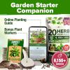 imageHOME GROWN 10 Herb Seeds for Planting 3000 NonGMO Heirloom Seeds  Extra Large Variety Pack Herb Kit  Indoor Outdoor ampamp Hydroponic  Culinary Seed Set  Grow Your Own Herbs  Gift for Beginners20Pack