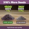 imageHOME GROWN 10 Herb Seeds for Planting 3000 NonGMO Heirloom Seeds  Extra Large Variety Pack Herb Kit  Indoor Outdoor ampamp Hydroponic  Culinary Seed Set  Grow Your Own Herbs  Gift for Beginners1Pack