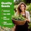 imageHOME GROWN 10 Herb Seeds for Planting 3000 NonGMO Heirloom Seeds  Extra Large Variety Pack Herb Kit  Indoor Outdoor ampamp Hydroponic  Culinary Seed Set  Grow Your Own Herbs  Gift for Beginners20Pack