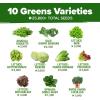 imageHOME GROWN 10 Herb Seeds for Planting 3000 NonGMO Heirloom Seeds  Extra Large Variety Pack Herb Kit  Indoor Outdoor ampamp Hydroponic  Culinary Seed Set  Grow Your Own Herbs  Gift for Beginners10Pack Greens