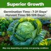 imageHOME GROWN 10 Herb Seeds for Planting 3000 NonGMO Heirloom Seeds  Extra Large Variety Pack Herb Kit  Indoor Outdoor ampamp Hydroponic  Culinary Seed Set  Grow Your Own Herbs  Gift for Beginners7Pack