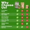 imageHOME GROWN 10 Herb Seeds for Planting 3000 NonGMO Heirloom Seeds  Extra Large Variety Pack Herb Kit  Indoor Outdoor ampamp Hydroponic  Culinary Seed Set  Grow Your Own Herbs  Gift for Beginners4Pack