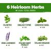 imageHOME GROWN 10 Herb Seeds for Planting 3000 NonGMO Heirloom Seeds  Extra Large Variety Pack Herb Kit  Indoor Outdoor ampamp Hydroponic  Culinary Seed Set  Grow Your Own Herbs  Gift for Beginners6Pack