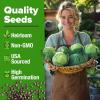 imageHOME GROWN 10 Herb Seeds for Planting 3000 NonGMO Heirloom Seeds  Extra Large Variety Pack Herb Kit  Indoor Outdoor ampamp Hydroponic  Culinary Seed Set  Grow Your Own Herbs  Gift for Beginners7Pack