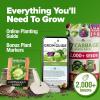 imageHOME GROWN 10 Herb Seeds for Planting 3000 NonGMO Heirloom Seeds  Extra Large Variety Pack Herb Kit  Indoor Outdoor ampamp Hydroponic  Culinary Seed Set  Grow Your Own Herbs  Gift for Beginners7Pack