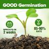imageHOME GROWN 10 Herb Seeds for Planting 3000 NonGMO Heirloom Seeds  Extra Large Variety Pack Herb Kit  Indoor Outdoor ampamp Hydroponic  Culinary Seed Set  Grow Your Own Herbs  Gift for Beginners20Pack