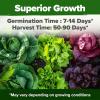 imageHOME GROWN 10 Herb Seeds for Planting 3000 NonGMO Heirloom Seeds  Extra Large Variety Pack Herb Kit  Indoor Outdoor ampamp Hydroponic  Culinary Seed Set  Grow Your Own Herbs  Gift for Beginners10Pack Greens