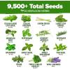 imageHOME GROWN 10 Herb Seeds for Planting 3000 NonGMO Heirloom Seeds  Extra Large Variety Pack Herb Kit  Indoor Outdoor ampamp Hydroponic  Culinary Seed Set  Grow Your Own Herbs  Gift for Beginners30Pack