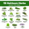 imageHOME GROWN 10 Herb Seeds for Planting 3000 NonGMO Heirloom Seeds  Extra Large Variety Pack Herb Kit  Indoor Outdoor ampamp Hydroponic  Culinary Seed Set  Grow Your Own Herbs  Gift for Beginners15Pack