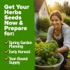 imageHOME GROWN 10 Herb Seeds for Planting 3000 NonGMO Heirloom Seeds  Extra Large Variety Pack Herb Kit  Indoor Outdoor ampamp Hydroponic  Culinary Seed Set  Grow Your Own Herbs  Gift for Beginners6Pack