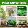 imageHOME GROWN 10 Herb Seeds for Planting 3000 NonGMO Heirloom Seeds  Extra Large Variety Pack Herb Kit  Indoor Outdoor ampamp Hydroponic  Culinary Seed Set  Grow Your Own Herbs  Gift for Beginners20Pack