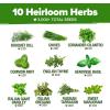 imageHOME GROWN 10 Herb Seeds for Planting 3000 NonGMO Heirloom Seeds  Extra Large Variety Pack Herb Kit  Indoor Outdoor ampamp Hydroponic  Culinary Seed Set  Grow Your Own Herbs  Gift for Beginners10Pack