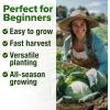 imageHOME GROWN 10 Herb Seeds for Planting 3000 NonGMO Heirloom Seeds  Extra Large Variety Pack Herb Kit  Indoor Outdoor ampamp Hydroponic  Culinary Seed Set  Grow Your Own Herbs  Gift for Beginners7Pack