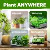 imageHOME GROWN 10 Herb Seeds for Planting 3000 NonGMO Heirloom Seeds  Extra Large Variety Pack Herb Kit  Indoor Outdoor ampamp Hydroponic  Culinary Seed Set  Grow Your Own Herbs  Gift for Beginners5Pack